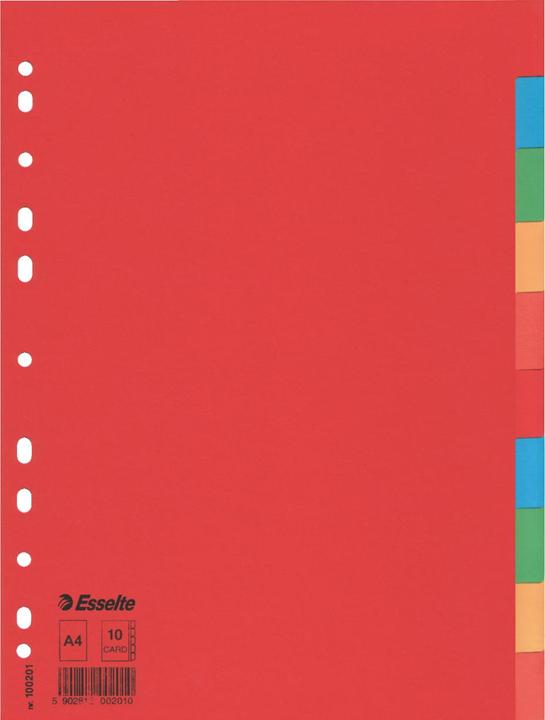 Produktbild Esselte Kartonregister Blanko
