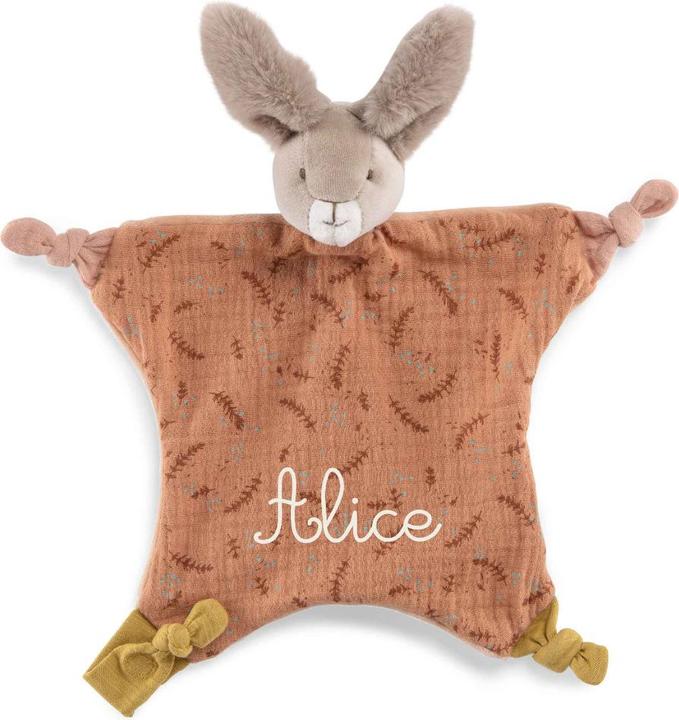 Image du produit Moulin Roty Doudou avec porte-sucette Lapin