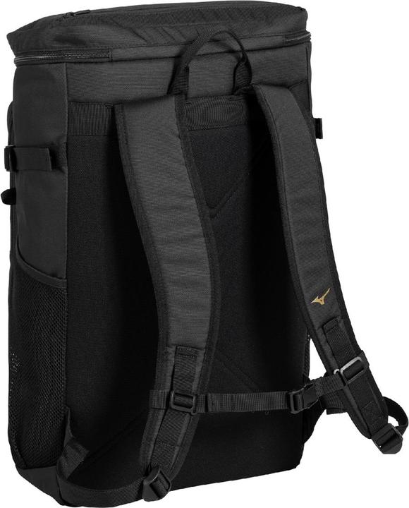 Actual product image Mizuno Fuji