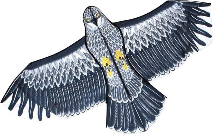 Lean Toys Adlerförmiger Drachen mit Seilgriff, 150 x 70 cm