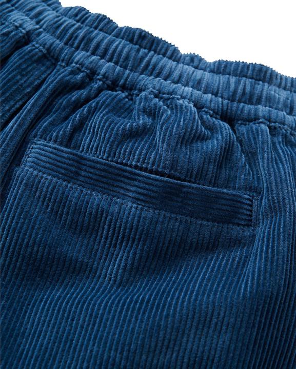 Immagine prodotto Passenger Avian 2.0 Organic Cord (L)