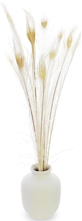 Immagine prodotto Soli Collection Fiori secchi Piume di pavone 90 cm, Bianco (Fiori secchi)