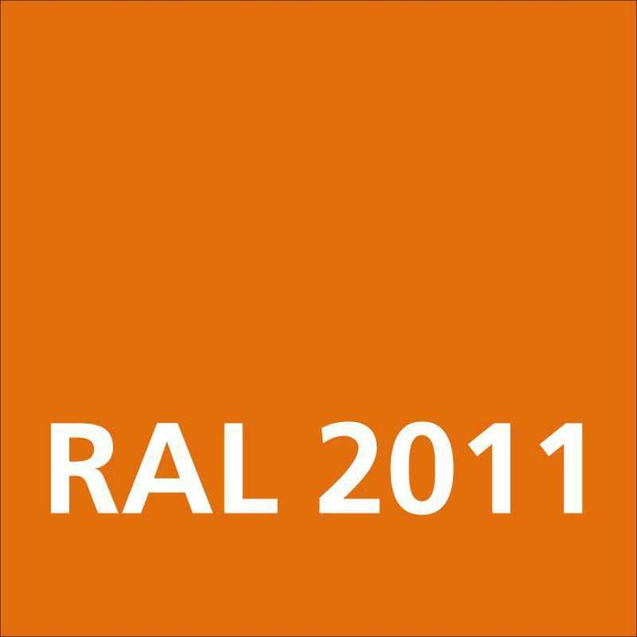 Actual product image Dupli-Color Glossy acrylic paint RAL 2011 deep orange (Deep orange, 0.40 l)