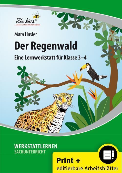 Produktbild Der Regenwald (Set) (Deutsch, Mara Hasler, 2023)