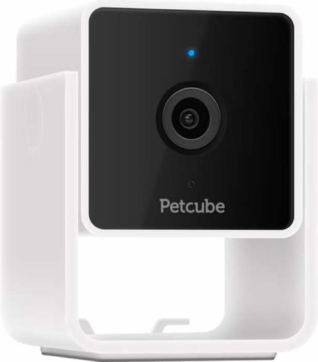 Image du produit Petcube Caméra pour animaux domestiques (Jouets avec herbe à chat)