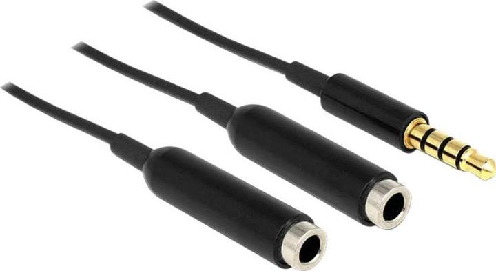 Actual product image Delock Audio splitter cable 3.5 mm jack - 2x 3.5mm female (0.25 m, 2.5mm jack cable)