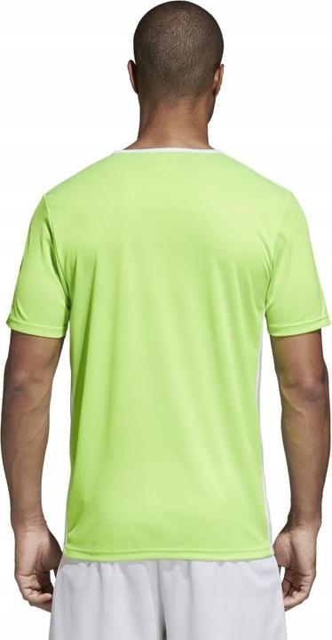 Produktbild Adidas Entrada 18 Fussballtrikot Kinder (128)