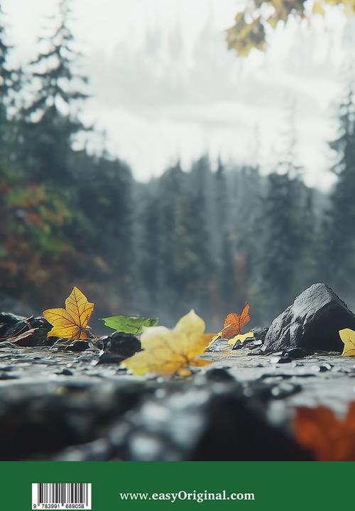 Produktbild The Roaming Rocks - Englische Krimi-Lektüre A1-A2 (+ Audio-CD) (Deutsch, Englisch, Carolyn Marsh, Ilya Frank, 2025)