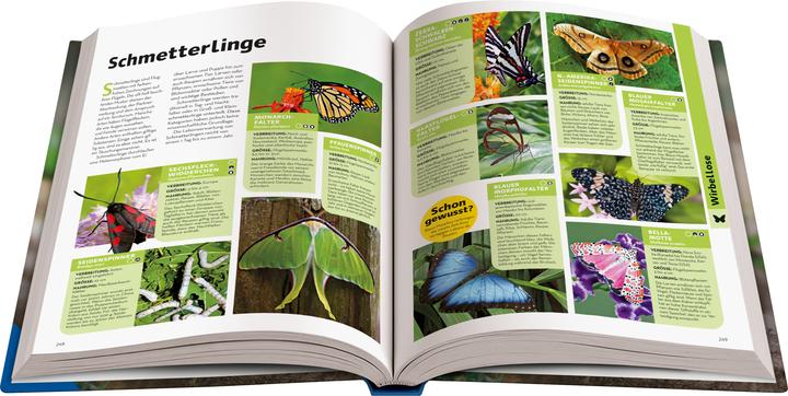 Image du produit Ravensburger National Geographic Kids - Lexikon der Tiere (Allemand)