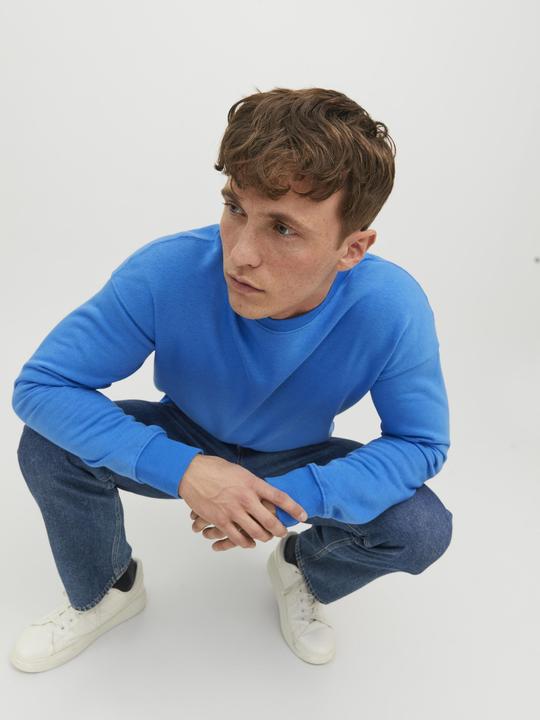 Produktbild Jack & Jones Rundhals- Sweatshirt (XXL)