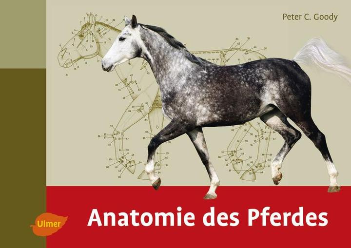 Produktbild Anatomie des Pferdes (Deutsch, Peter C. Goody, 2015)
