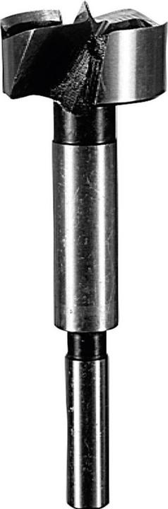Actual product image Bosch Zubehör Forstner bit, DIN 7483 G D= 15.0 mm L= 90 mm (8 mm)