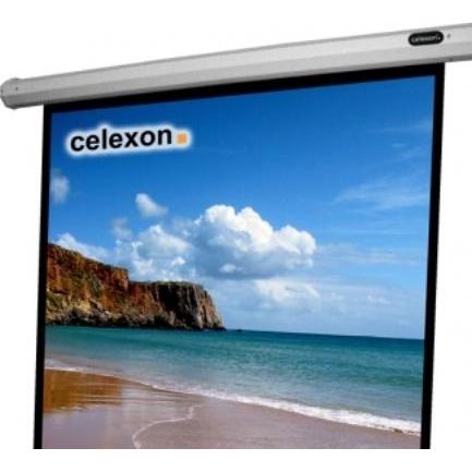 Celexon Economy electric screen - Leinwand - Deckenmontage möglich, geeignet für Wandmon (120.08", 1:1), Leinwand, Schwa...