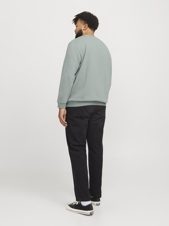Produktbild Jack & Jones Jjebradley Sweat Crew Noos Pls (8XL)