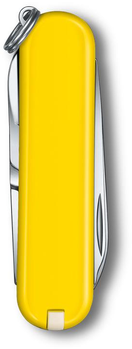 Produktbild Victorinox Classic SD