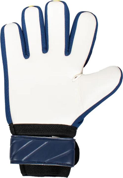 Produktbild Scotland Fa TorhüterHandschuhe (10, 11, 12, 13)
