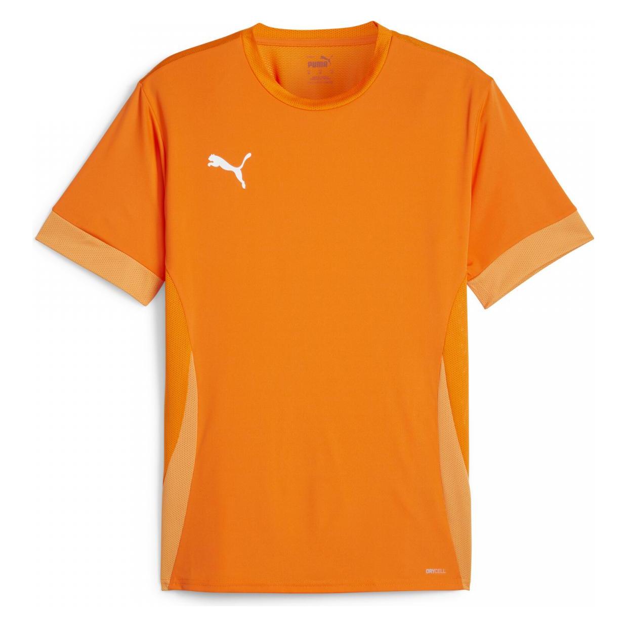 Puma, Herren, Sportshirt, TeamGOAL Matchday Jersey (Xxl), Grün, Xxl