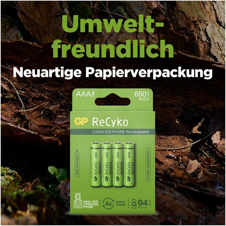 Actual product image GP Batteries Charger GP 1x4 GP Recyko Nimh Ackus AAA 650mah Dect-Telephon (1 pcs., AAA, 650 mAh)