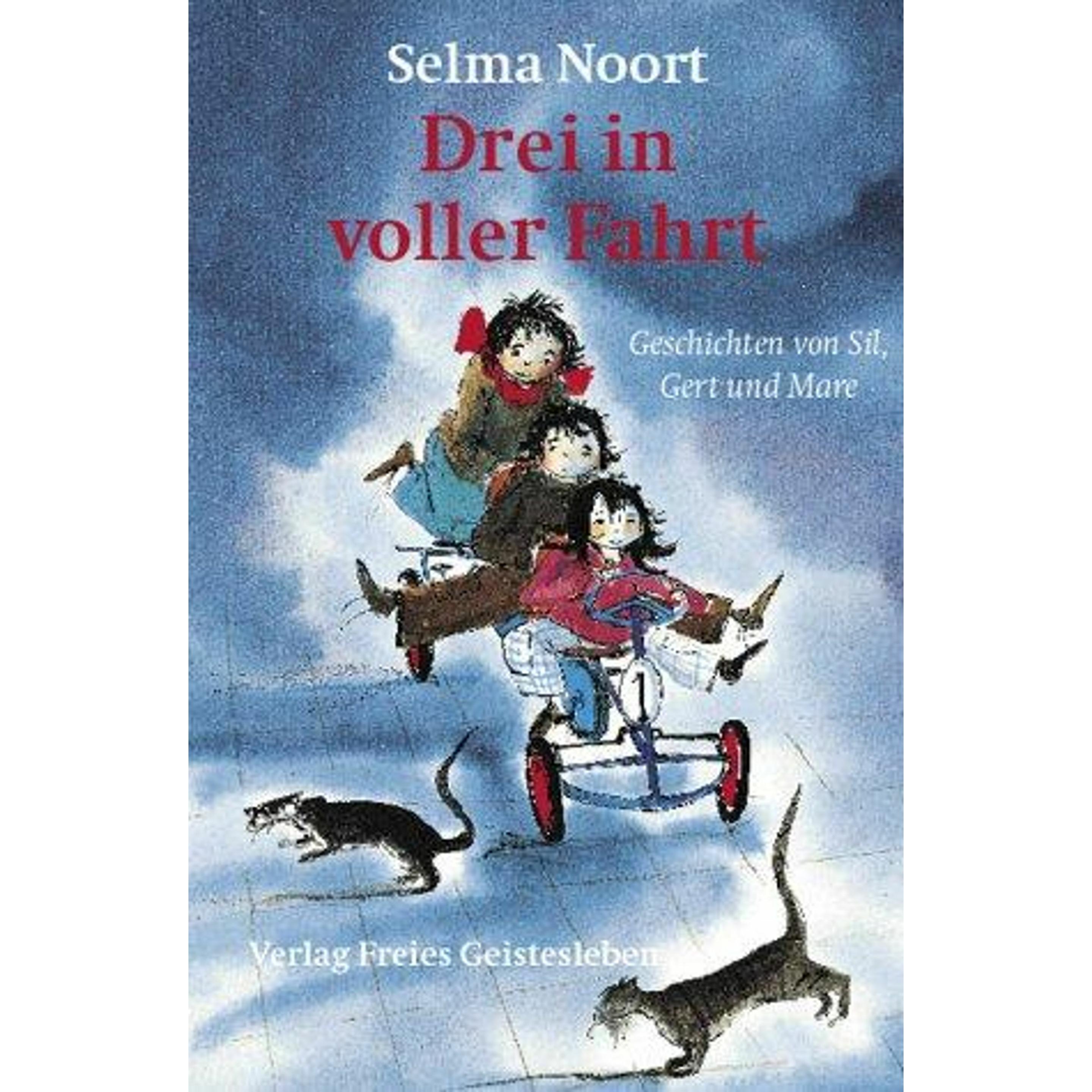 Drei in voller Fahrt, Kinderbücher von Beate Fach, Selma Noort, van Straaten