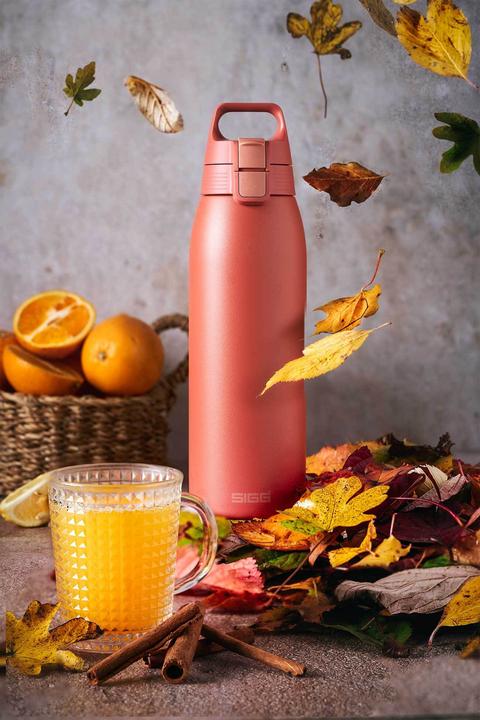 Productafbeelding Sigg Shield Therm One (1 l)