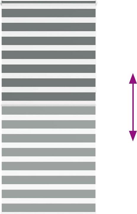 Produktbild vidaXL Zebra-Jalousie (100 x 230 cm)