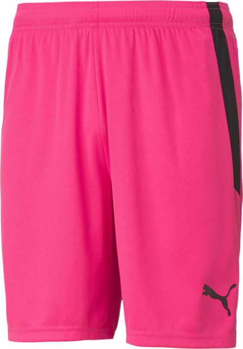 Image du produit Puma Short teamLIGA-704924 (L)