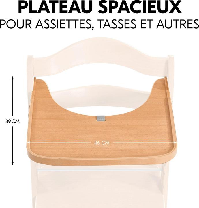 Actual product image Hauck Alpha Tray