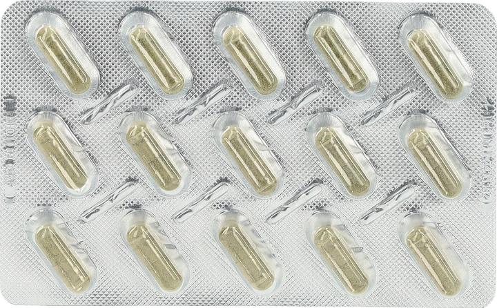 Actual product image 3-Herbs Drainage plus Capsules, 60 Capsules (60 Piece, Capsules)