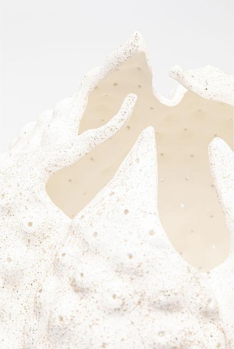 Actual product image Kare Design Deko Vase Anemone Weiss 37cm