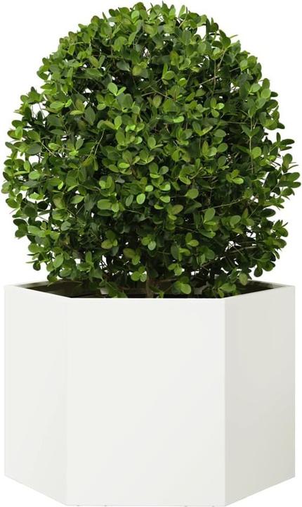 Produktbild vidaXL Pflanzkübel