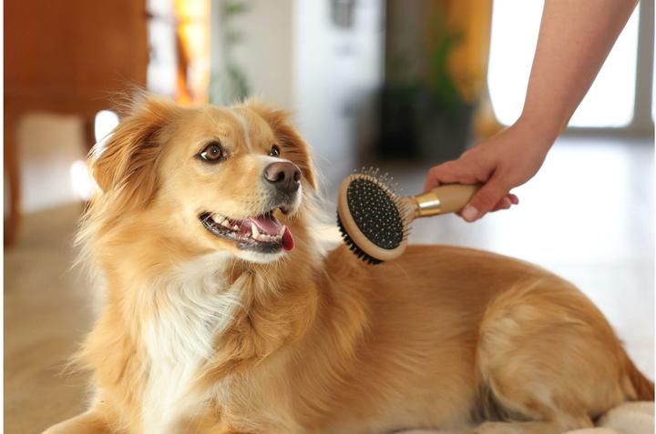Produktbild Magic Brush Doppelbürste für Hunde (Hund)