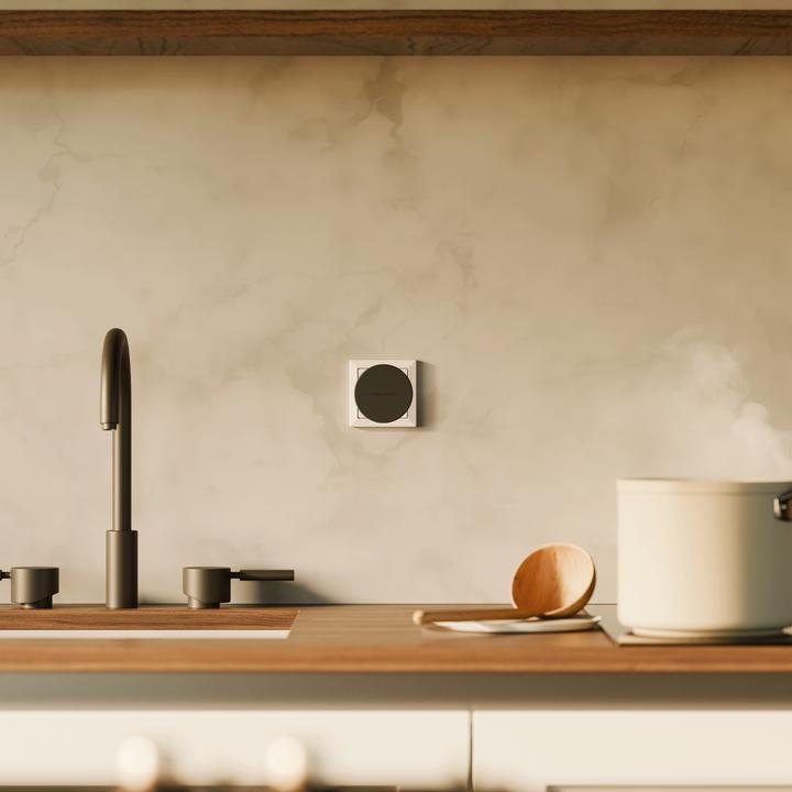 Produktbild TwelveSouth PowerBug EU(Slate) (35 W)