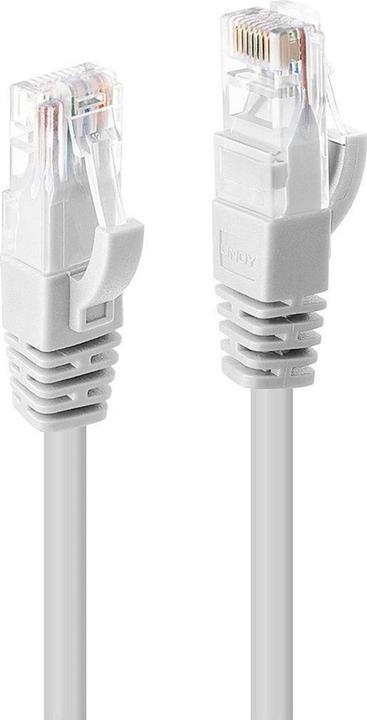 Actual product image Lindy Network cable (U/UTP, CAT6, 2 m)