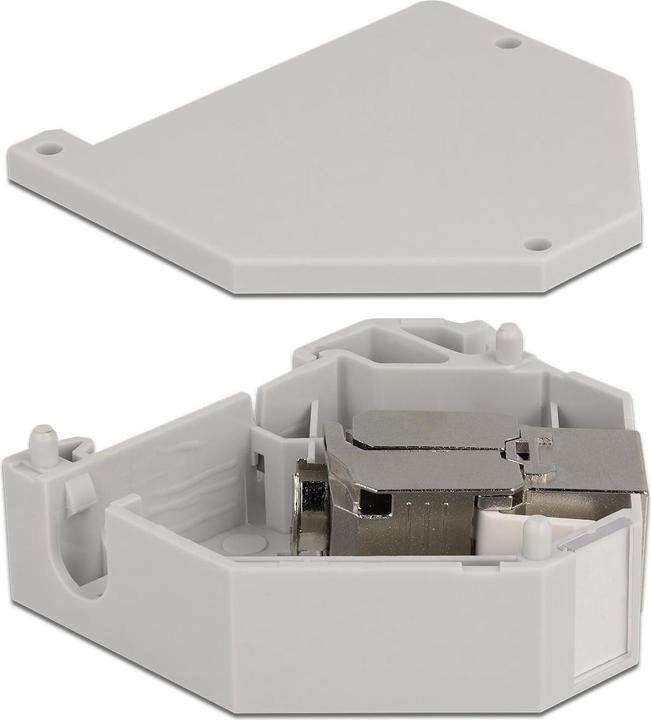 Image du produit Delock Hutschienenhalter mit Keystone Modul RJ45 Buchse Cat.6A LSA (Support de module Keystone)