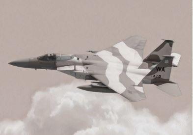 Actual product image Italeri F-15C Eagle