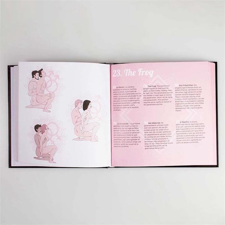 Image du produit Secret play Kamasutra (Jeux d'adresse, Néerlandais, Portugais, Allemand, Anglais, Français)