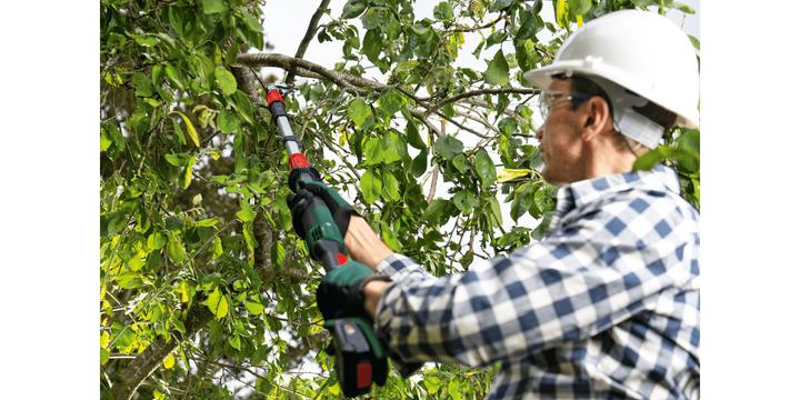 Produktbild Bosch Home & Garden AdvancedPrune