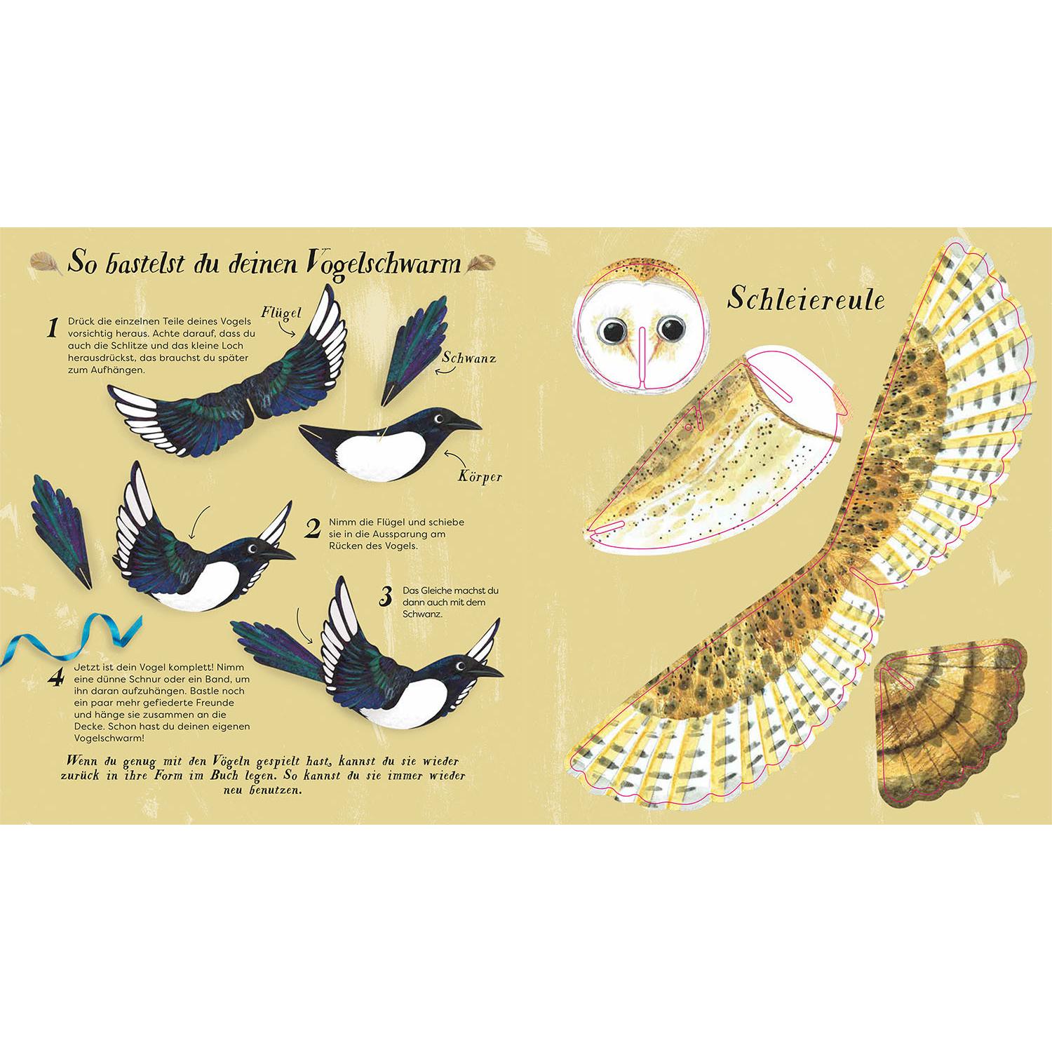 Thumbnail - Flieg mit uns!, Kinderbücher von Lauren Fairgrieve, Kate Read