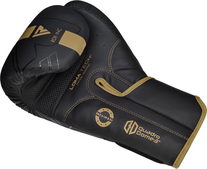 Image du produit Rdx Gants de Boxe Rex F6 (16 OZ)