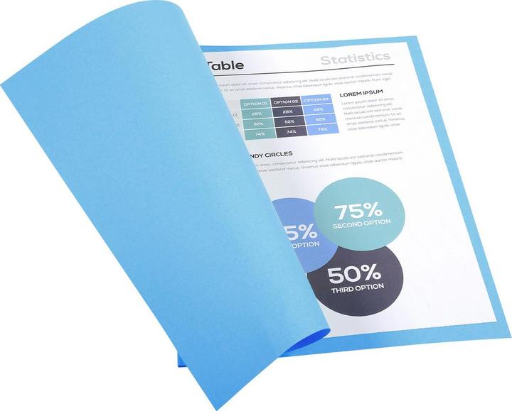 Immagine prodotto Exacompta Scrapbook - Copertine di file (24 x 32 cm, 100 x)