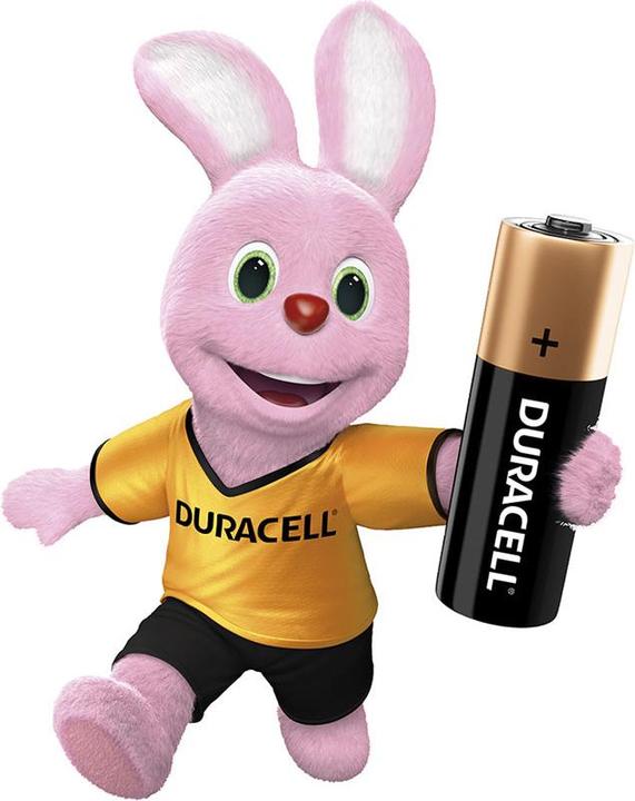 Image du produit Duracell Plus (28 pcs, AAA)