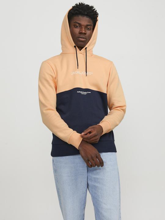 Produktbild Jack & Jones Colorblock Hoodie (XXL)