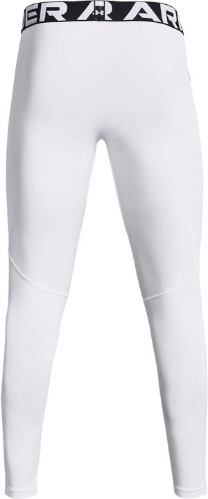 Actual product image Under Armour ColdGear functional tights men (L)