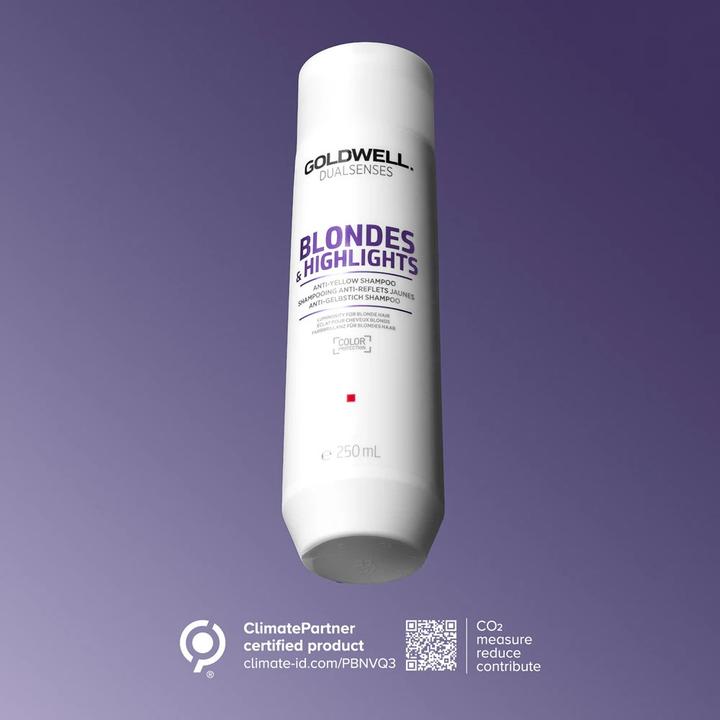 Produktbild Goldwell Dualsenses Blondes & Highlights Anti-Yellow Shampoo (Silbershampoo, 250 ml)