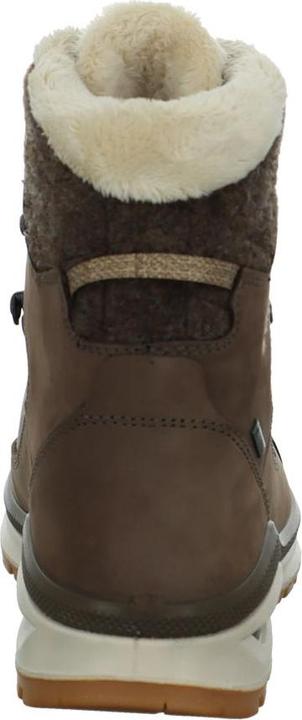 Actual product image Lowa Renegade Evo Ice GTX Ws (42.5)
