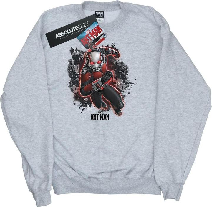 Image du produit Sweatshirt garçon Ant-Man Ants Running (116)