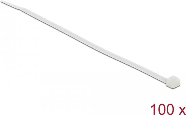 Image du produit Monacor ZU Attaches de câble 20cm 100p., transparent (Serre-câbles en plastique, 200 mm, 100 pcs)