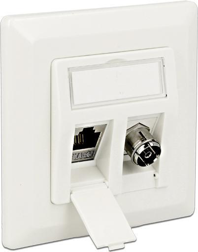 Actual product image Delock Keystone Wall Outlet