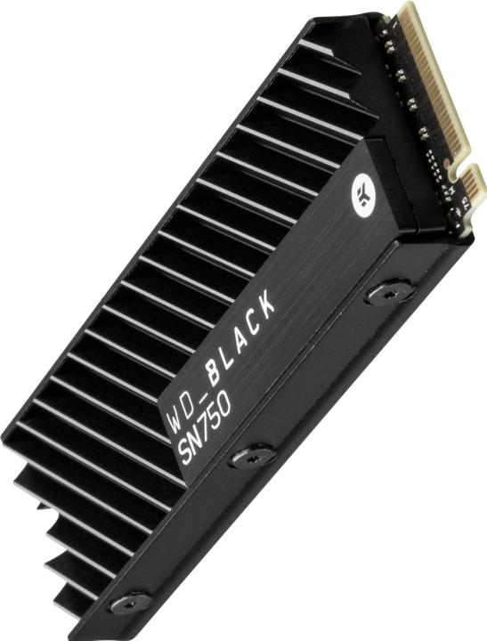 Actual product image WD Black SN750 (500 GB, M.2 2280)