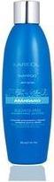 Produktbild Kareol Arandano Shampoo 300ml (300 ml, Flüssiges Shampoo)